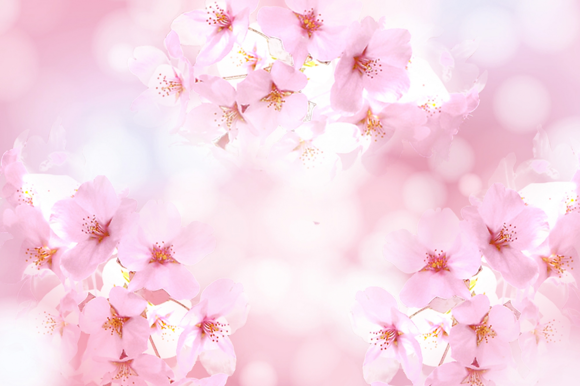 高知　ひょうたん桜