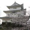 丸亀城　桜まつり