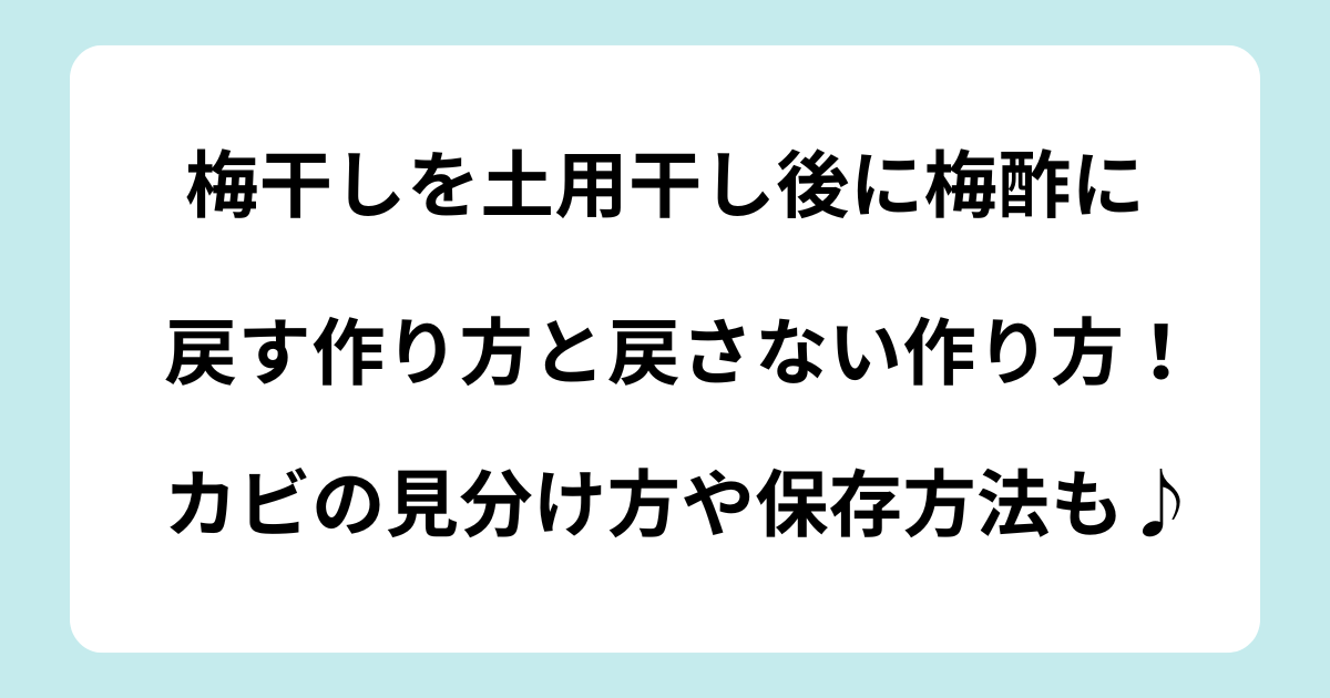 梅干し 干した後 梅酢に戻す