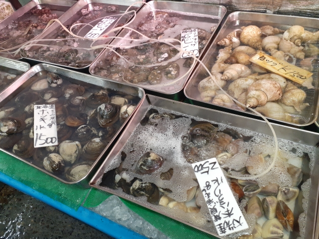 鮮魚店のはまぐり